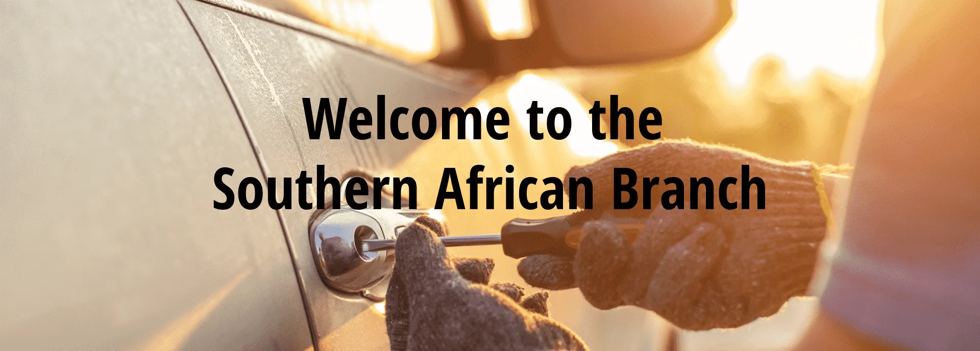 Southern African Branch | International Association of Auto Theft ...